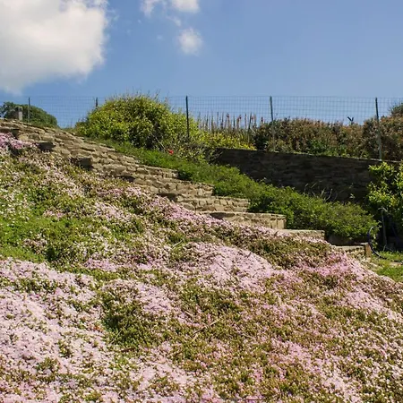 Calascoglietti Country house *