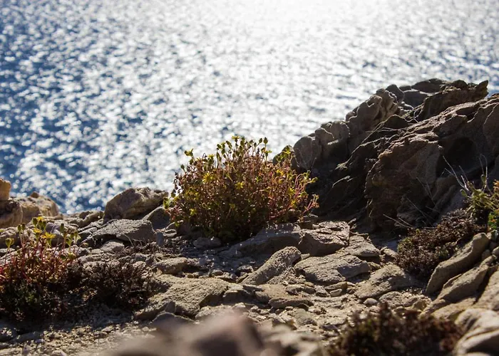 Country house Calascoglietti